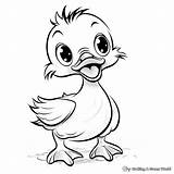 Yellow Duck Coloring Pages  Free & Printable sketch template