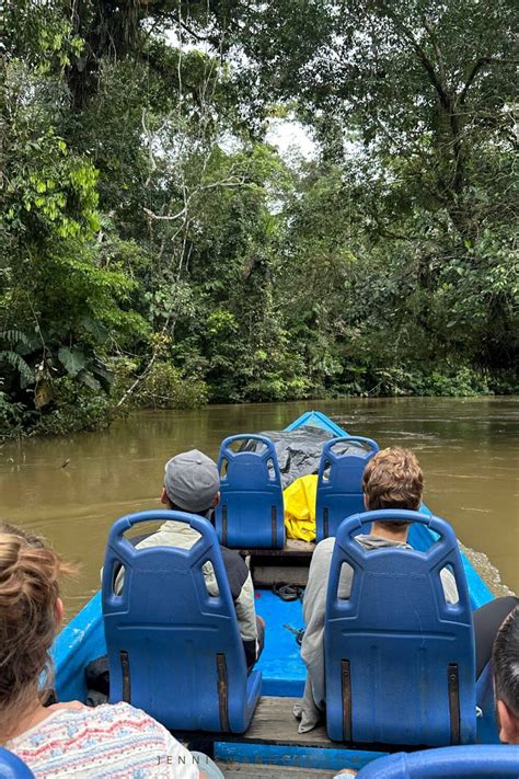 Amazon Tours Ecuador: BEST Cuyabeno Trip From Quito (2023)