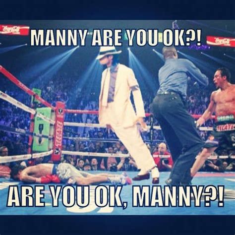 Boxing Knockout Memes