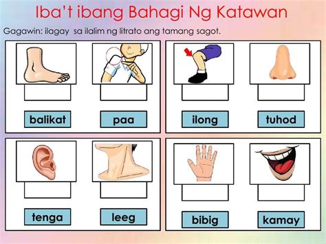 Mga Bahagi Ng Katawan (Flashcards) Preschool Twinkl, 51% OFF