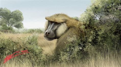 Dinopithecus ingens A large Plio-pleistocene South African baboon, in 2023 | Prehistoric animals ...