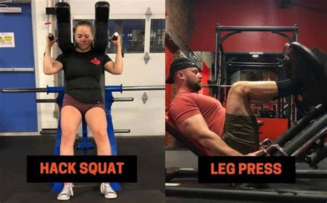 Hack Squat vs Leg Press: Differences, Pros, Cons ...