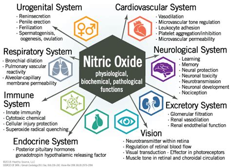 Improve Nitric Oxide Levels in Endothelial (vessels), Neurons (brain), Immune Cells