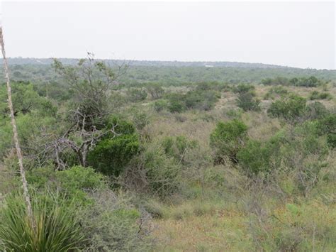 Wolf Springs Ranch | Ranches for Sale | Ranch Enterprises LTD. | Ranches For Sale in Texas & New ...