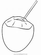 Coconut With Straw Coloring Page For Kids  Free Printable sketch template