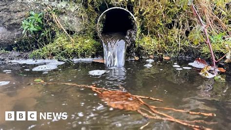 Water companies illegally dumping sewage in England and Wales' rivers ...