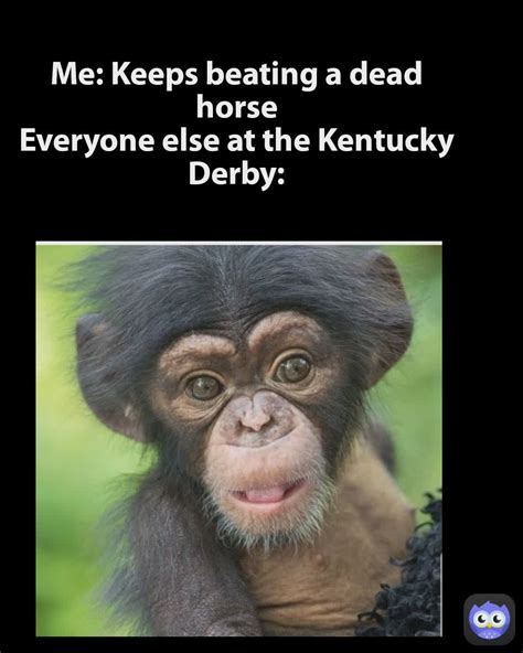 Me: Keeps beating a dead horse Everyone else at the Kentucky Derby ...