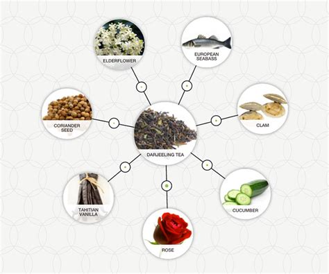 A primer on tea pairings - Foodpairing