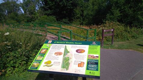 Cassiobury Nature Reserve (08/08/16) - New to Watford