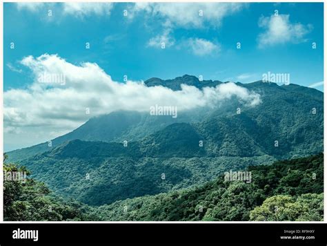 Serra do mar mountains hi-res stock photography and images - Alamy