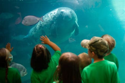 Columbus Zoo and Aquarium | Aquatic Facility in Ohio