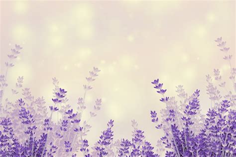 Lavender Flowers Background Free Stock Photo - Public Domain Pictures