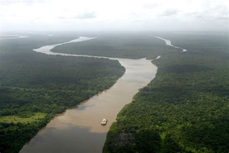 Bienal da Amazônia planeja ter 400 artistas durante a COP30 em Belém ...