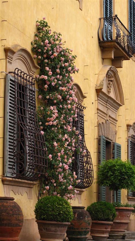 Garden of Villa La Pietra, Florence. | Florence italy, Tuscany, Florence