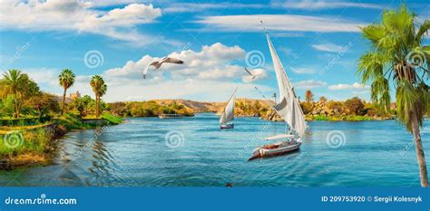 The Nile in Aswan stock photo. Image of tourism, sailing - 209753920