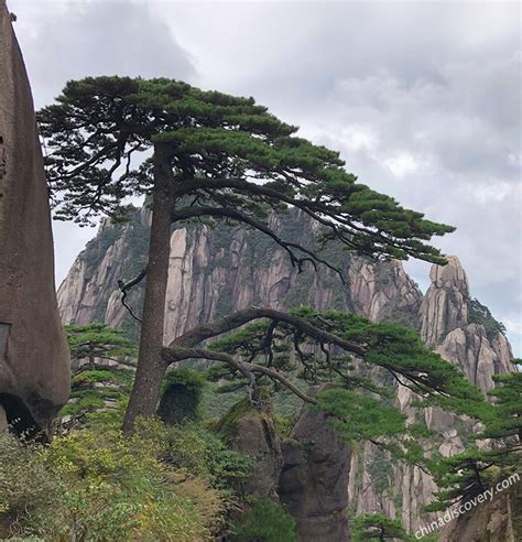 Yellow Mountain (Mt. Huangshan) - Huangshan National Park Guide of 2024