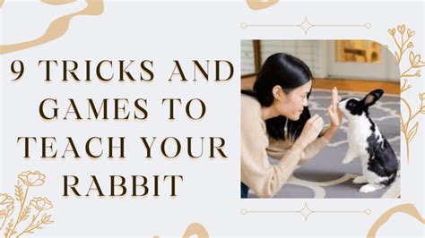 9 Tricks and games to teach your rabbit - The Rabbit Hop