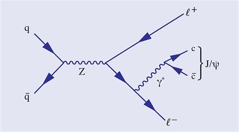 CMS observes rarest Z boson decay mode – CERN Courier