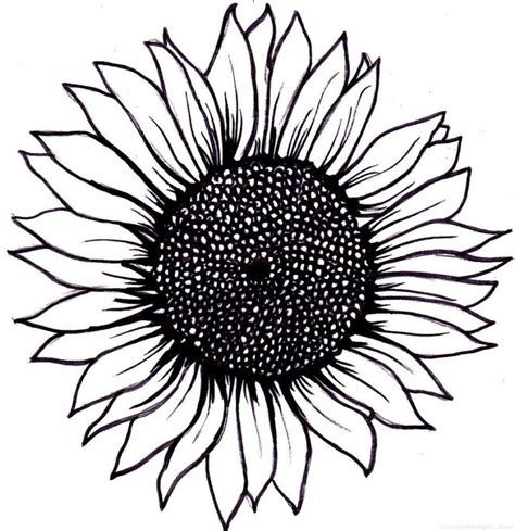 Drawn Sunflower outline | Sunflower drawing, Sunflower tattoo small, Sunflower tattoo simple