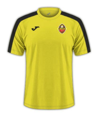 FC Zirka Kropyvnytskyi Kit History - Football Kit Archive