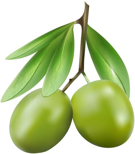 green olive clipart 10 free Cliparts | Download images on Clipground 2024