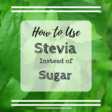 How to use stevia instead of sugar – Artofit