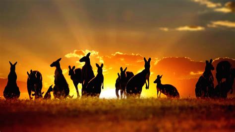 59 Reasons Why Australia is the Best Place on Earth