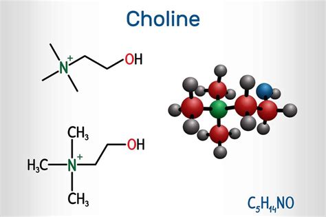 Choline: An Essential Nutrient With Important Benefits in 2020 ...