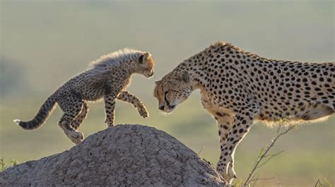 Private African Photography Safari | Experience real Africa