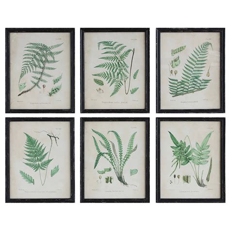 Fern Wall Decor - Nadeau Atlanta