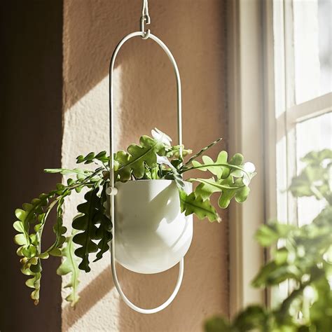 CHILISTRÅN hanging planter, in/outdoor white, 12 cm - IKEA