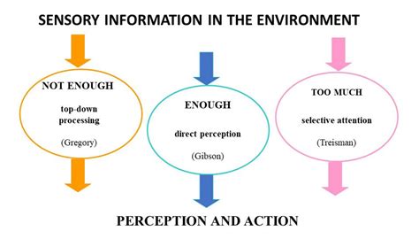 Visual Perception Psychology