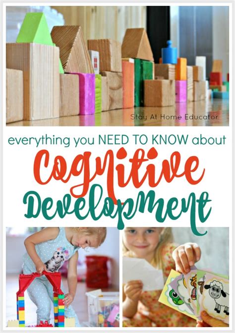 Cognitive Activity For Preschoolers