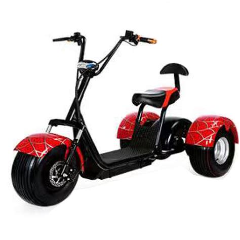 China High Quality 1000W E Trike 3 Wheel Electric Tricycle for Adult ...