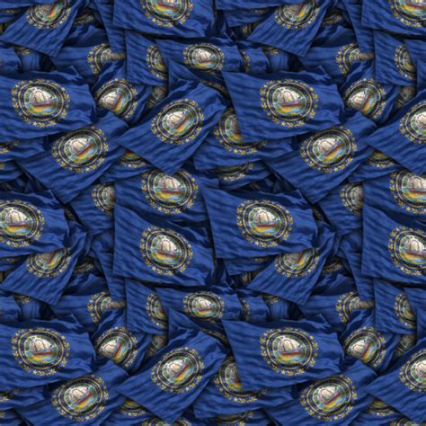 New Hampshire State Flag – Pattern Crew