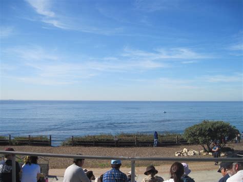 people whale watching at Point Vicente, Palos Verdes | Flickr