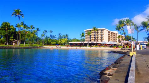 people are swimming in the blue water next to a beach with palm trees and hotels