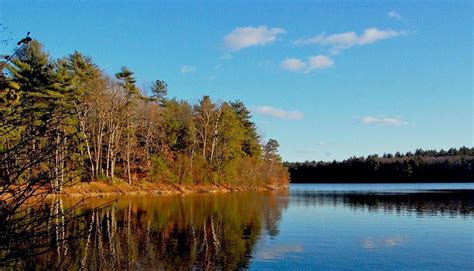 December 30, 2014 Lincoln, Massachusetts | Natural landmarks, Photo ...