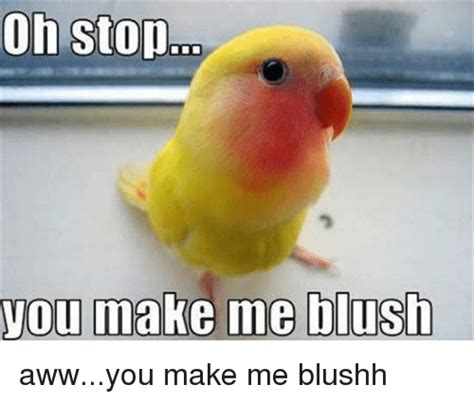 20 Blushing Memes That Are Way Too Cute to Be Resisted - SayingImages.com | Funny parrots, Funny ...