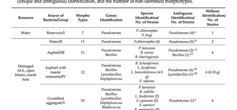 Source of the bacteria, the number of morphotypes in the bacterial... | Download Scientific Diagram