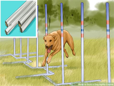 How to Design a Dog Agility Course: 12 Steps (with Pictures)