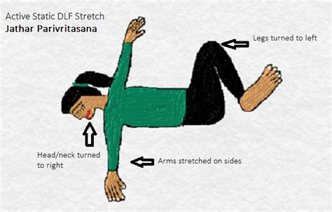 Dorsal Lumbar Fascia Stretch - StableMovement Physical Therapy