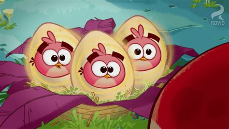 "Egg Sounds" episode summary & gallery (Angry Birds Toons) - Angry Birds Nation