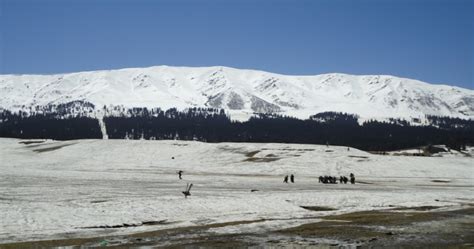 Kashmir Receives First Snowfall Of Season, Upper Slopes Get Whiteout ...