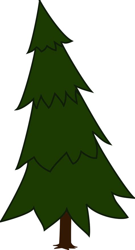 Evergreen Tree Clipart | Free download on ClipArtMag