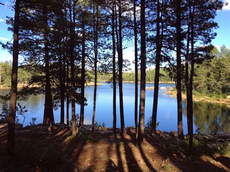 Our Hiking Mystery: Woods Canyon Lake Loop