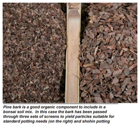 Bonsai Soil | Bonsai Learning Center