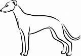Whippet coloring page  Free Printable Coloring Pages sketch template
