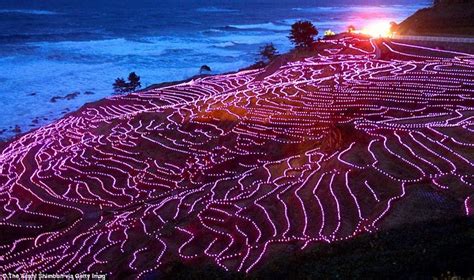 20,000 LED Lights Illuminate Japanese Rice Paddies