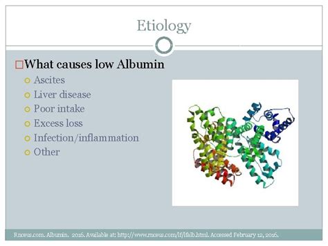 Pathophysiology of Hypoalbuminemia PAULA ROSE RENAL JANELLE FRALEY